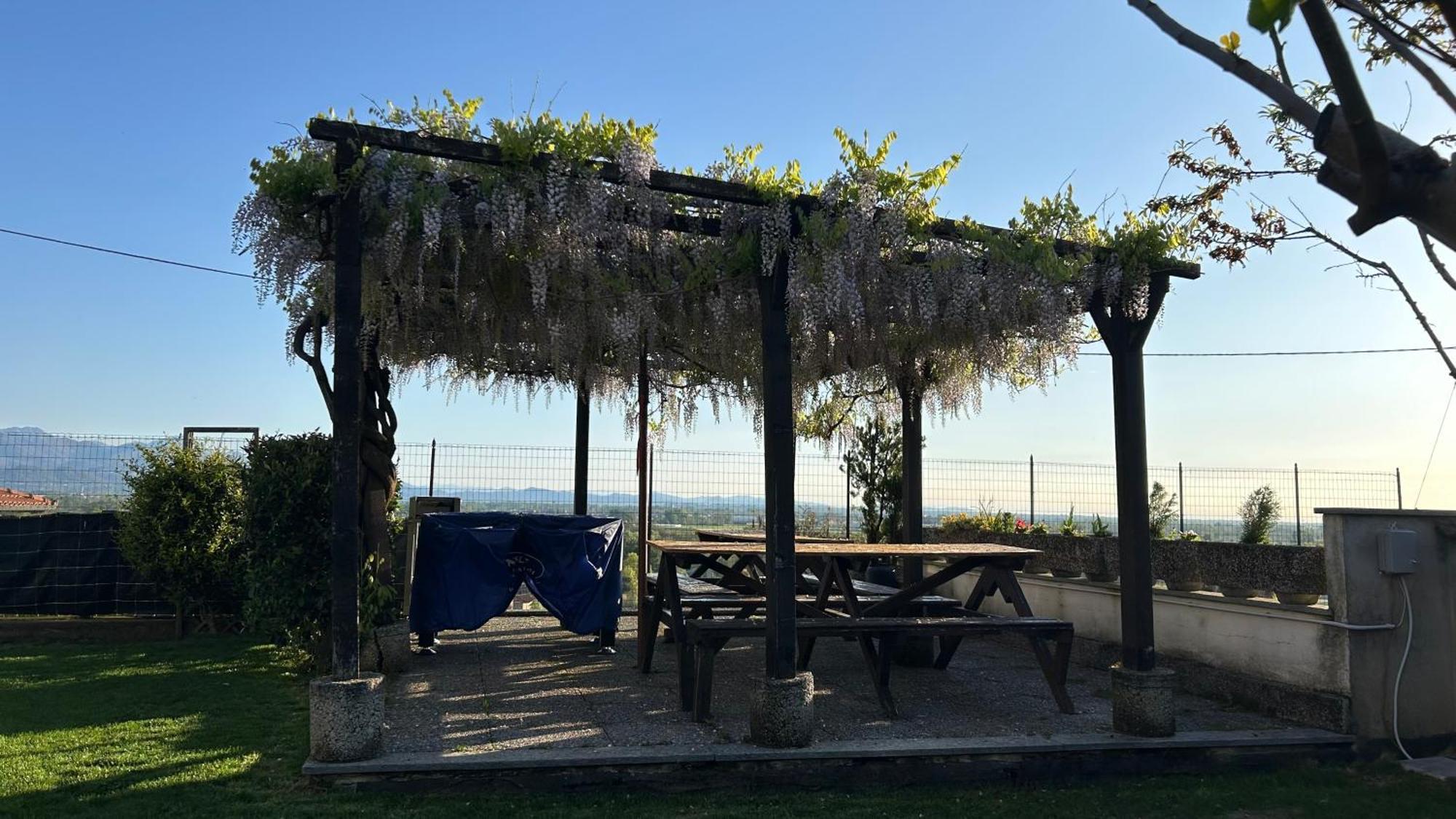 La Casa Di Pietro Hotel Cerrione Eksteriør billede